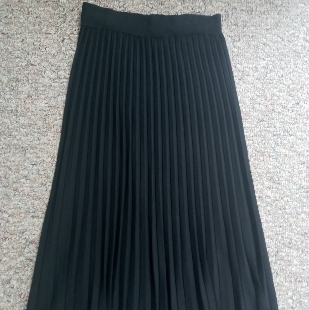 Beautiful Pleated Black Skirt